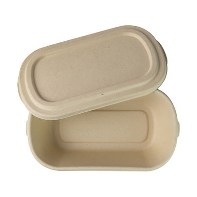 Biodegradable Disposable Sugarcane Bagasse takeaway Containers Box