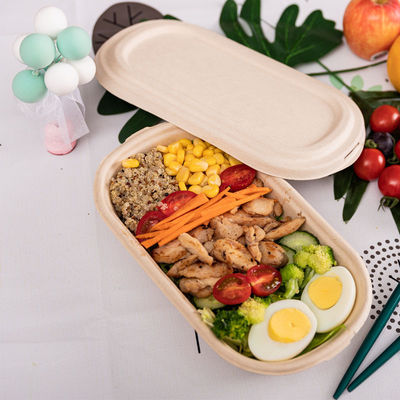 100% Biodegradable Compostable Pulp Packaging Box For Salad