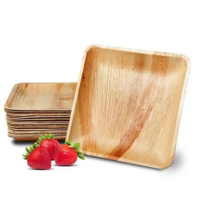 8" 10" Biodegradable Palm Leaf Plates Disposable